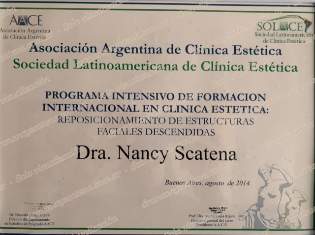 Certificado: Programa Intensivo de Formación Internacional — AACE · SOLACE, 2014